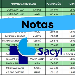 Notas examen oposición Técnico Superior en Nutrición y Dietética Sacyl Castilla y León 2024