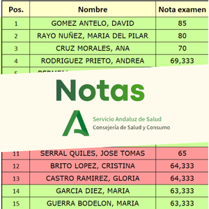 notas SAS dietetica ope 2025